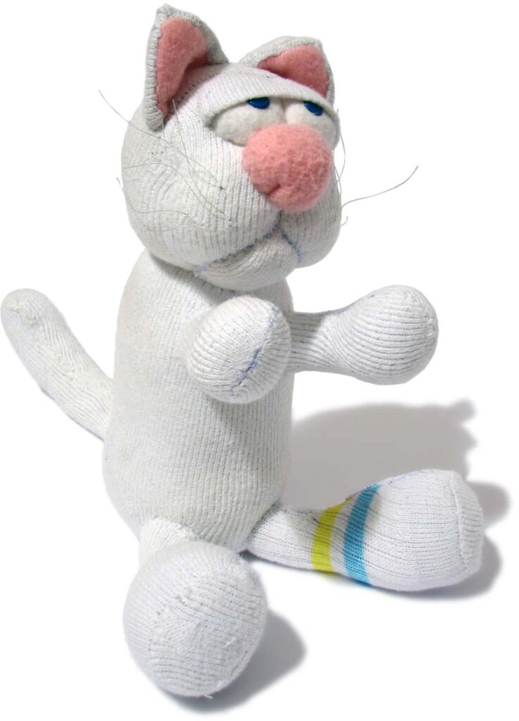 White Socks, the cat